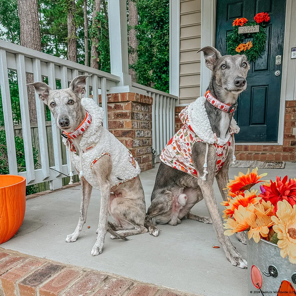 Dog Reversible Sherpa Jacket - Peanuts™ Harvest