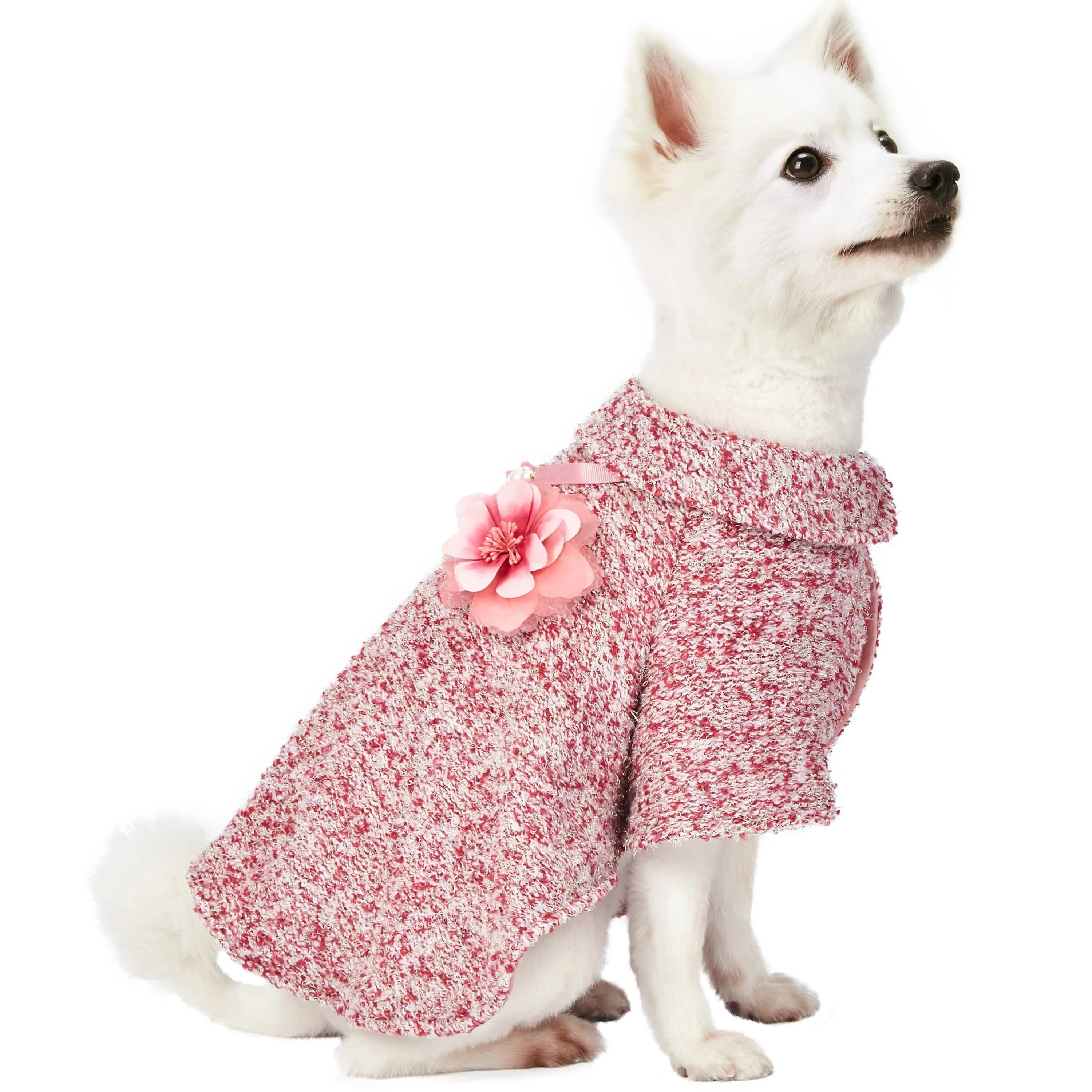 Marled Dog Poncho with Necklace & Flower