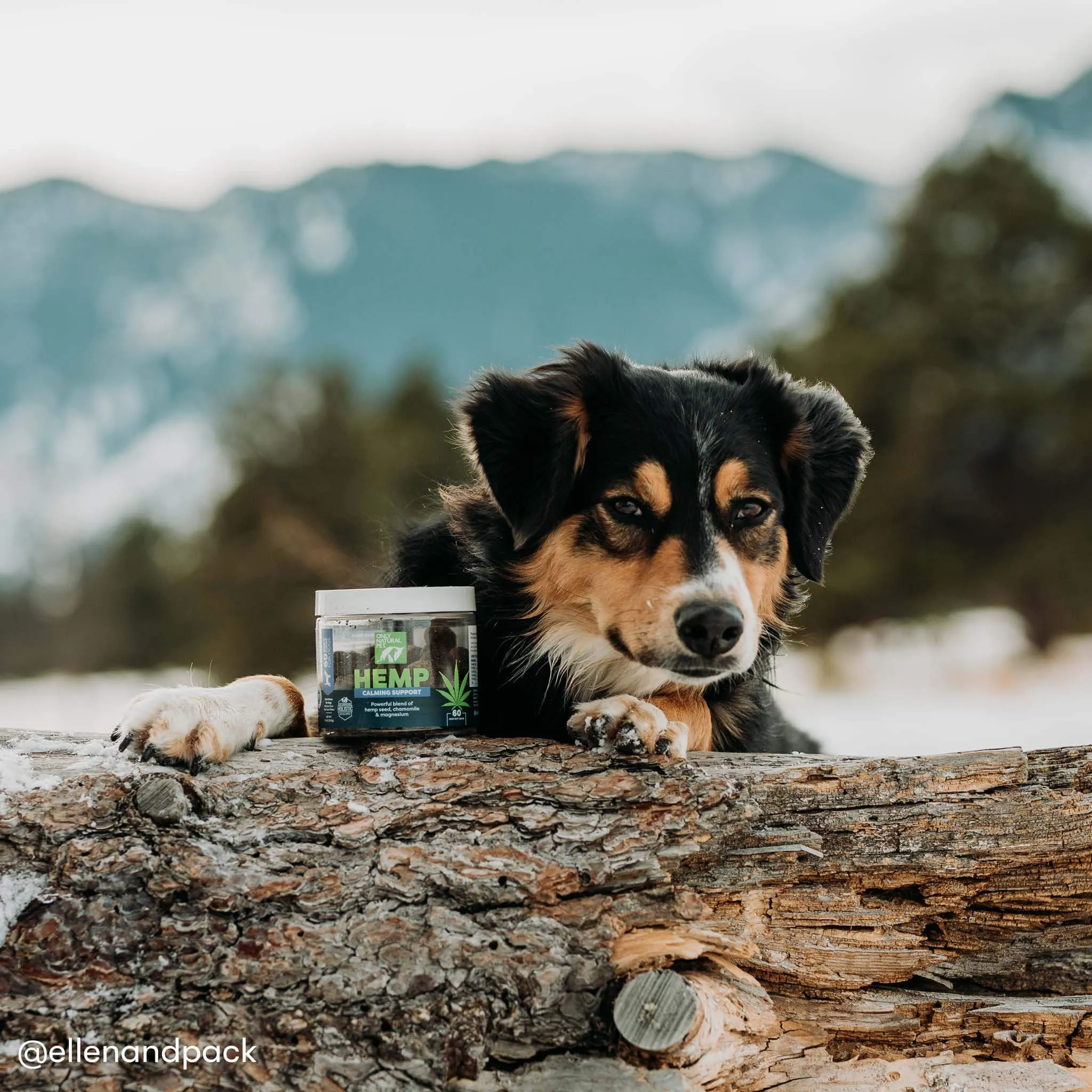 Only Natural Pet Hemp Calming Support Soft Chews for Dogs